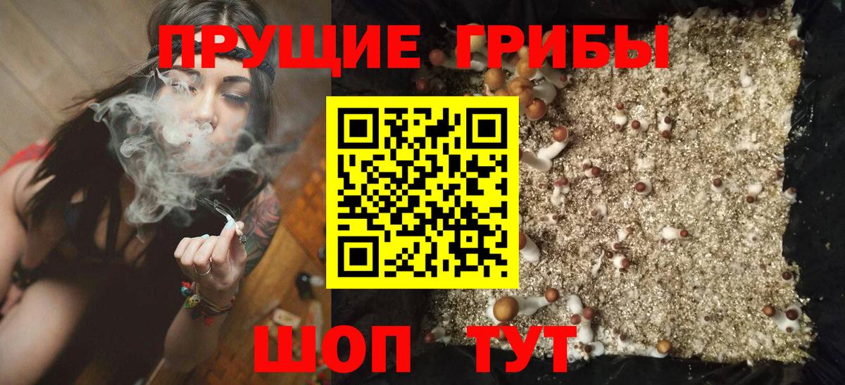Псилоцибиновые грибы мицелий Баксан