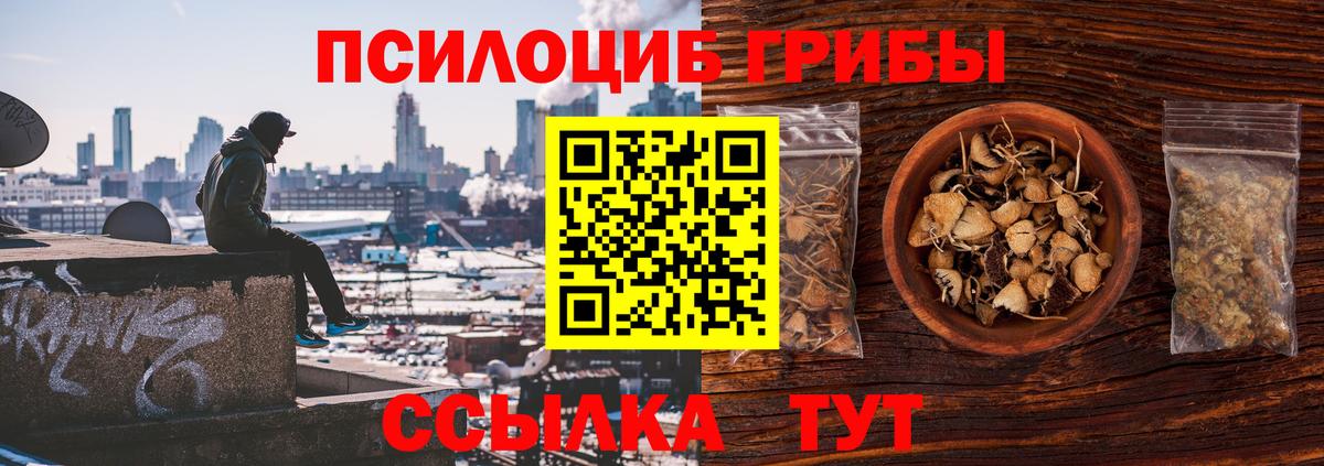 Псилоцибиновые грибы Psilocybine cubensis  Псилоцибиновые грибы MAGIC MUSHROOMS  Вход с VPN  Баксан 