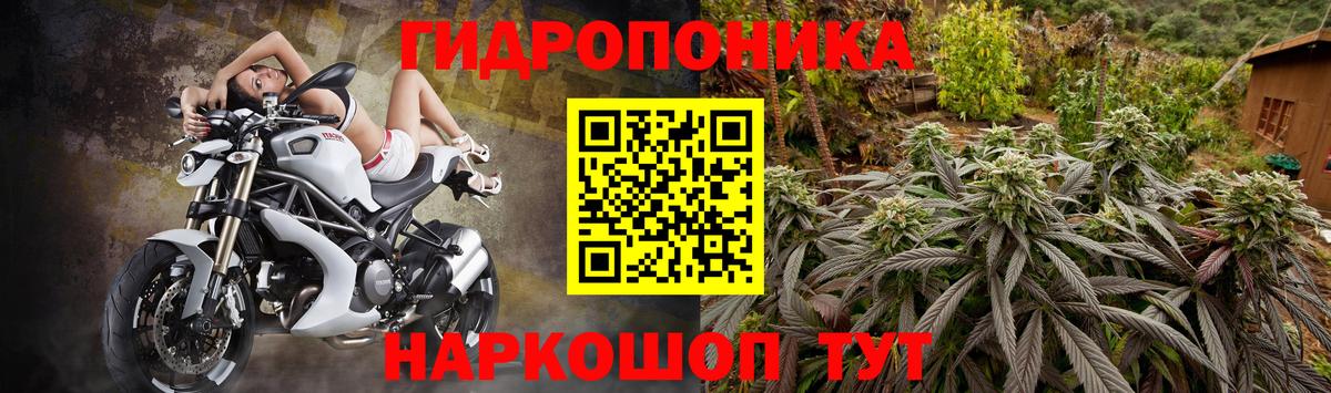 Баксан  Бошки Шишки SATIVA & INDICA  Вход с VPN  МАРИХУАНА гибрид 